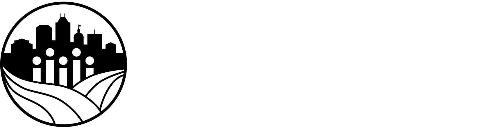 logo of the Irsay Institute