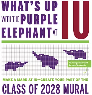 What's up with the purple elephant flyer